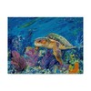 Trademark Fine Art Lucy P. Mctier 'Loggerhead Turtle' Canvas Art, 24x32 ALI42764-C2432GG